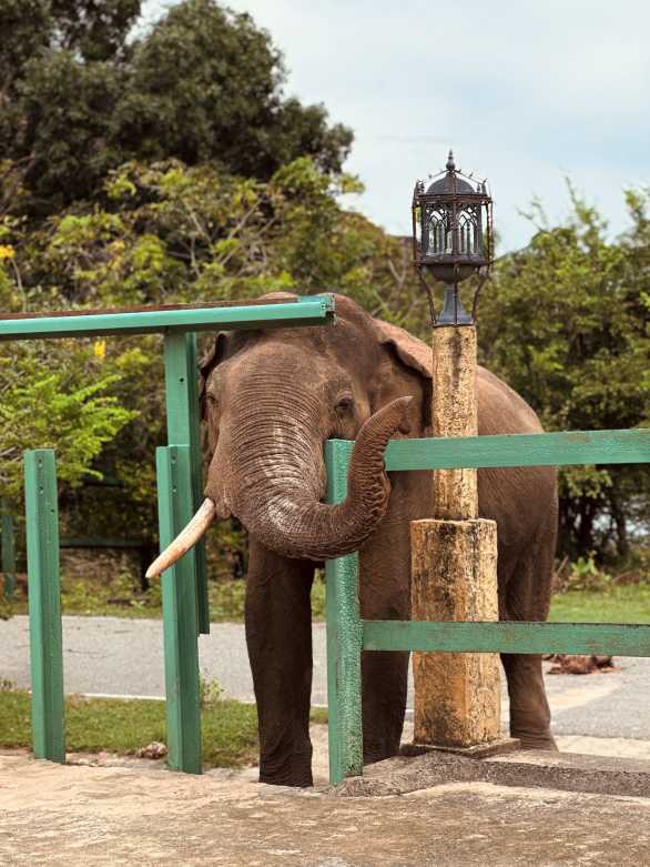 ඒක දන්ත - Beyond the Barrier by Supun Abeynayake