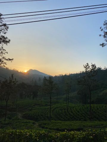 Immersing the untrodden beauty by Tharukshi Pabasara