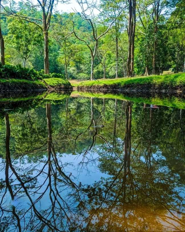 Nature’s Mirror by Gayashan Cooray