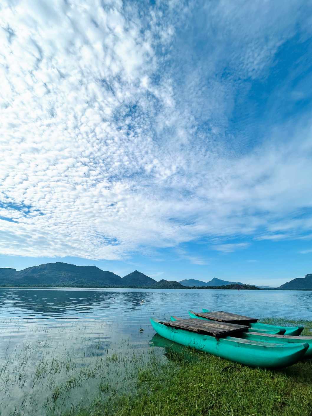 Silent call of the lake  by Lumini Sahabandu