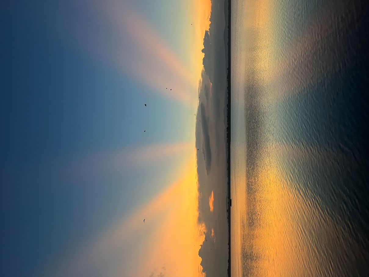Symphony of Light by Tiran Wickramasinghe