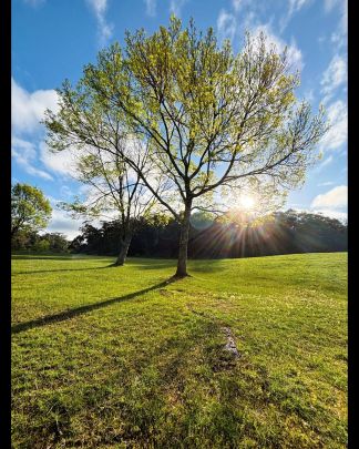The Beauty of a New Day by Nithya Jayaweera